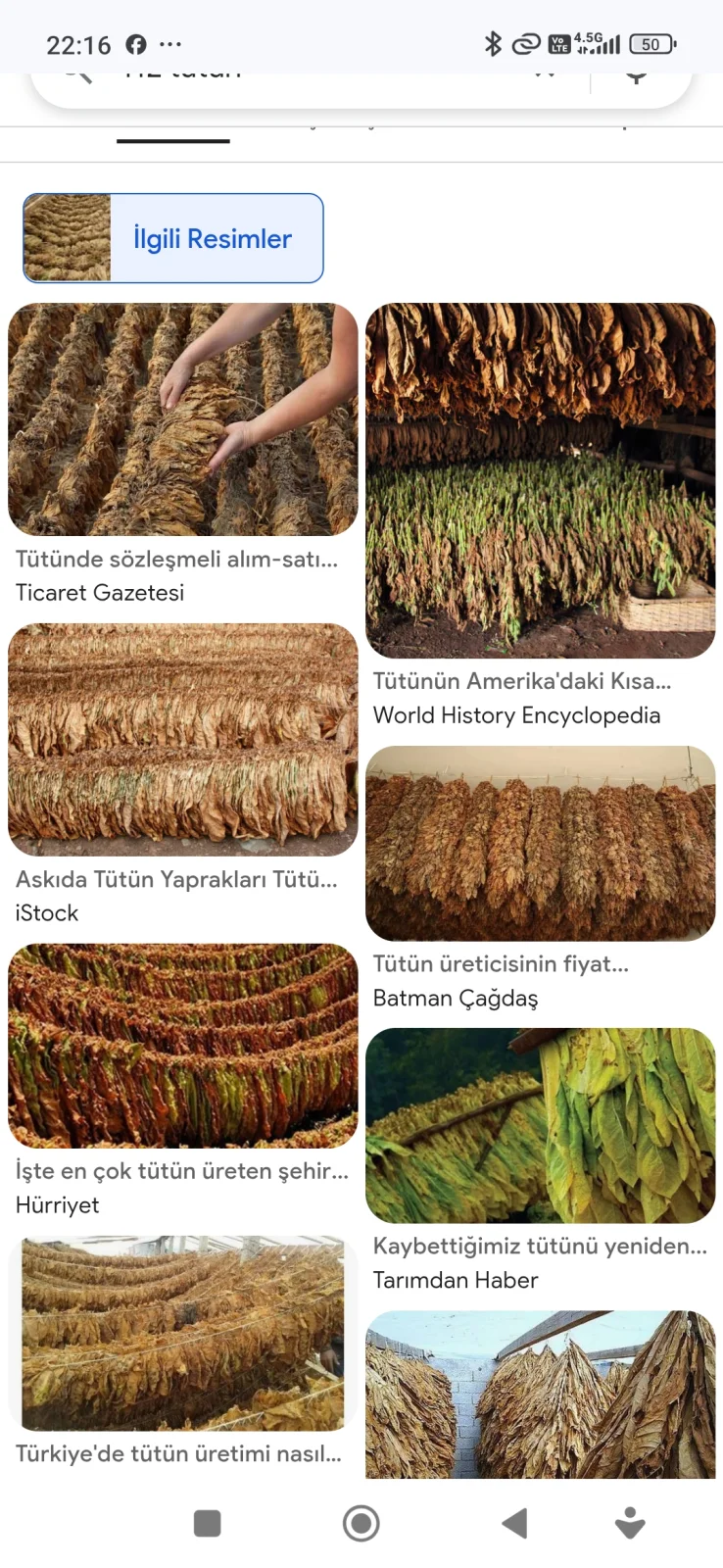NARGİLE TÜTÜNÜ